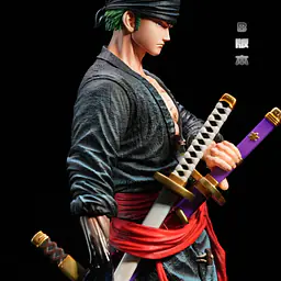 FIT - Zoro 5