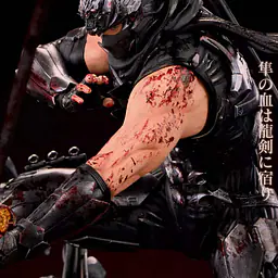 Sword and Wing - Ryu Hayabusa 10