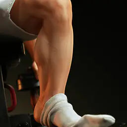Pale Hose - Yang Gu 3