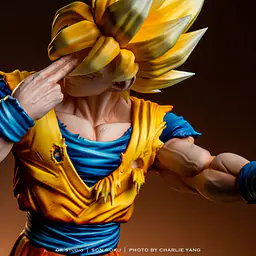 OK - Goku 9