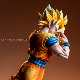 OK - Goku 10