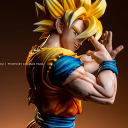 OK - Goku 8