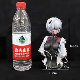 Qi Jiang - Rei 13