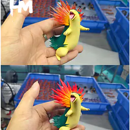 LM - Typhlosion 3