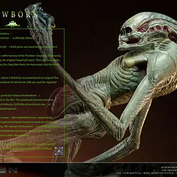 Deep Myth - Newborn 3