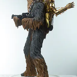 Sideshow Collectibles - Chewbacca and C-3PO 12