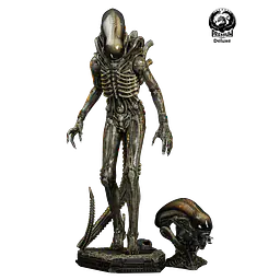 Premium Collectibles - Big Chap Alien 30