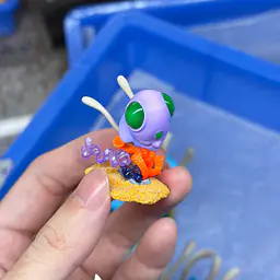 Limousine - Tentacruel and Tentacool 5
