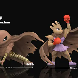 Wonder - Hitmonlee and Hitmonchan 3