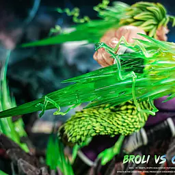 Yi Shou - Broly vs Gogeta 7