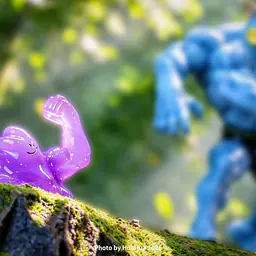 Wonder - Ditto 6