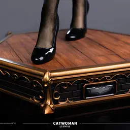Infinity - Catwoman 9