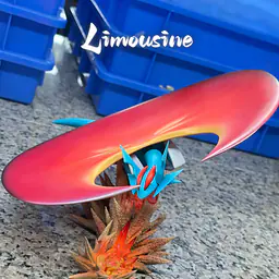 Limousine - Mega Salamence 3