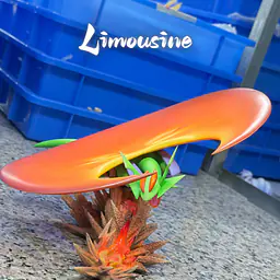 Limousine - Mega Salamence 2