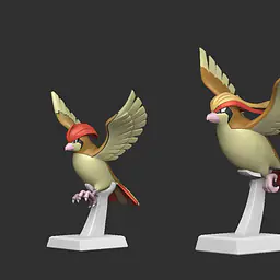 VS - Pidgeot 5