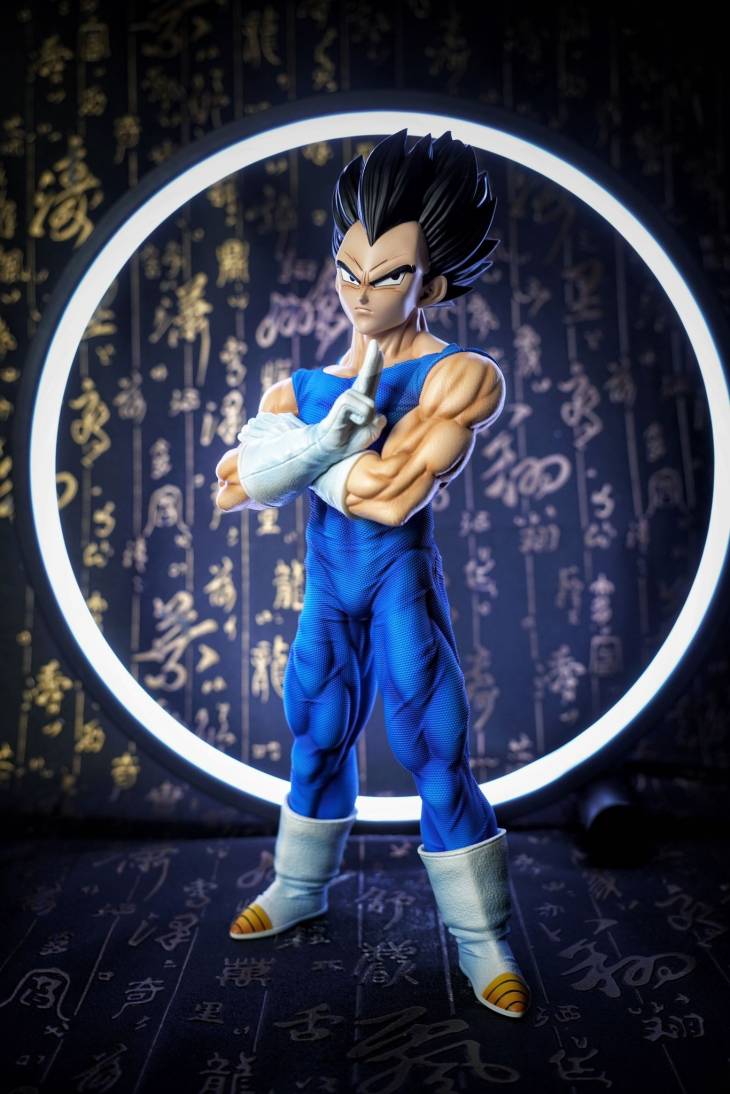 Sky Top - Vegeta