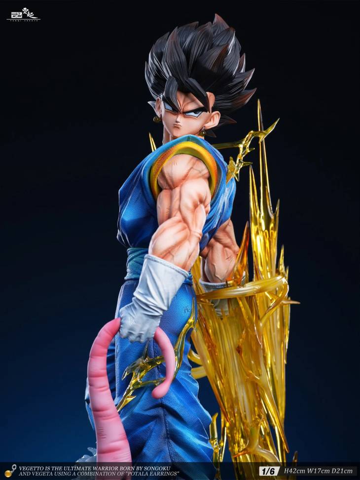 YunQi - Vegito - Image 2