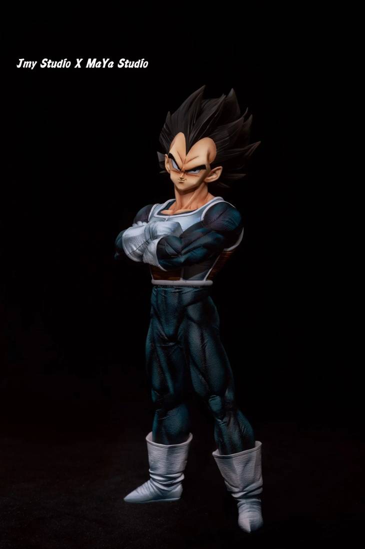 JMY x Maya - Vegeta - Image 4