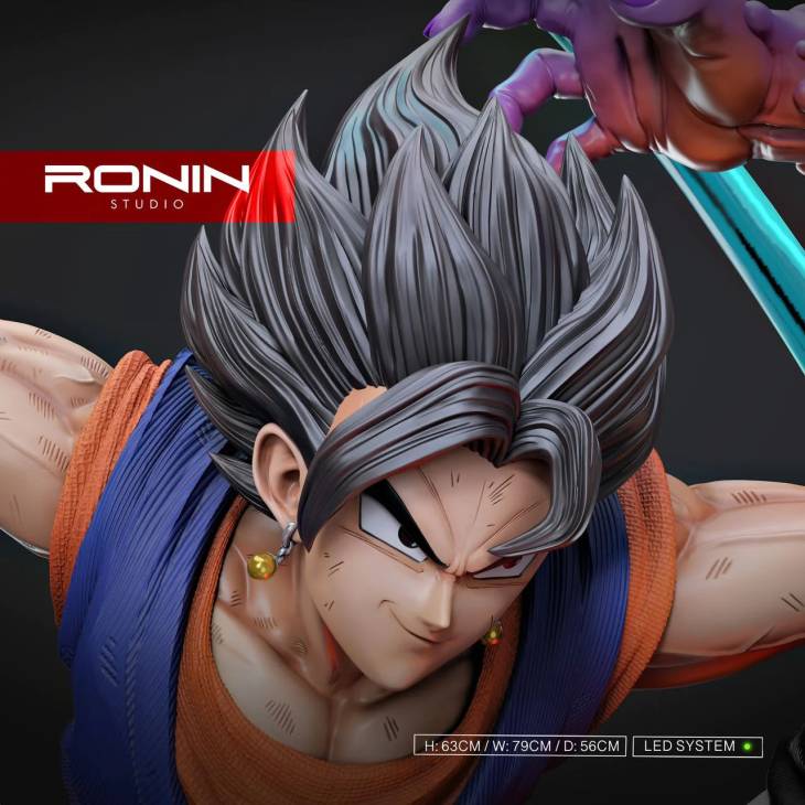 Ronin - Vegito vs Zamasu - Image 11