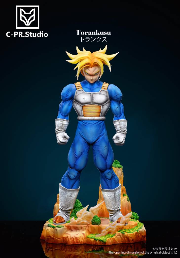 CPR - Trunks - Image 2