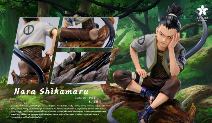 Sakura - Shikamaru - Image 8