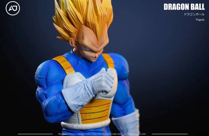AJ - Vegeta - Image 6