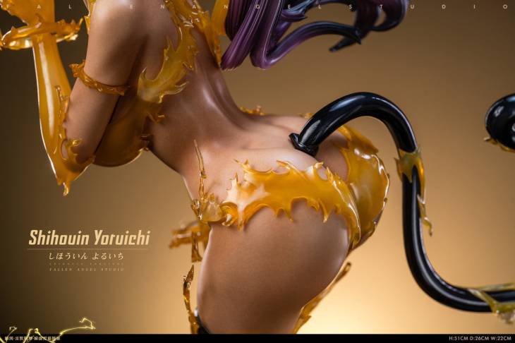 FA - Yoruichi - Image 29