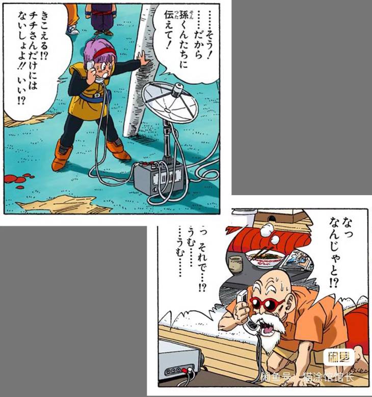 II - Bulma and Roshi - Image 3