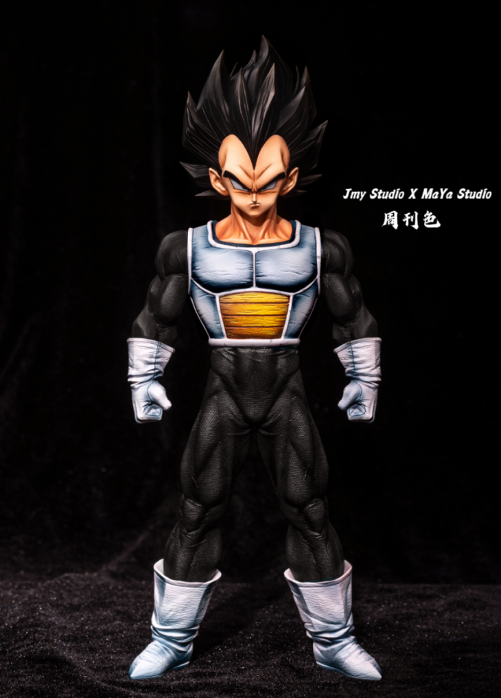 JMY x Maya - Vegeta - Image 3