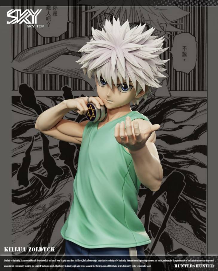 Sky Top - Killua - Image 2