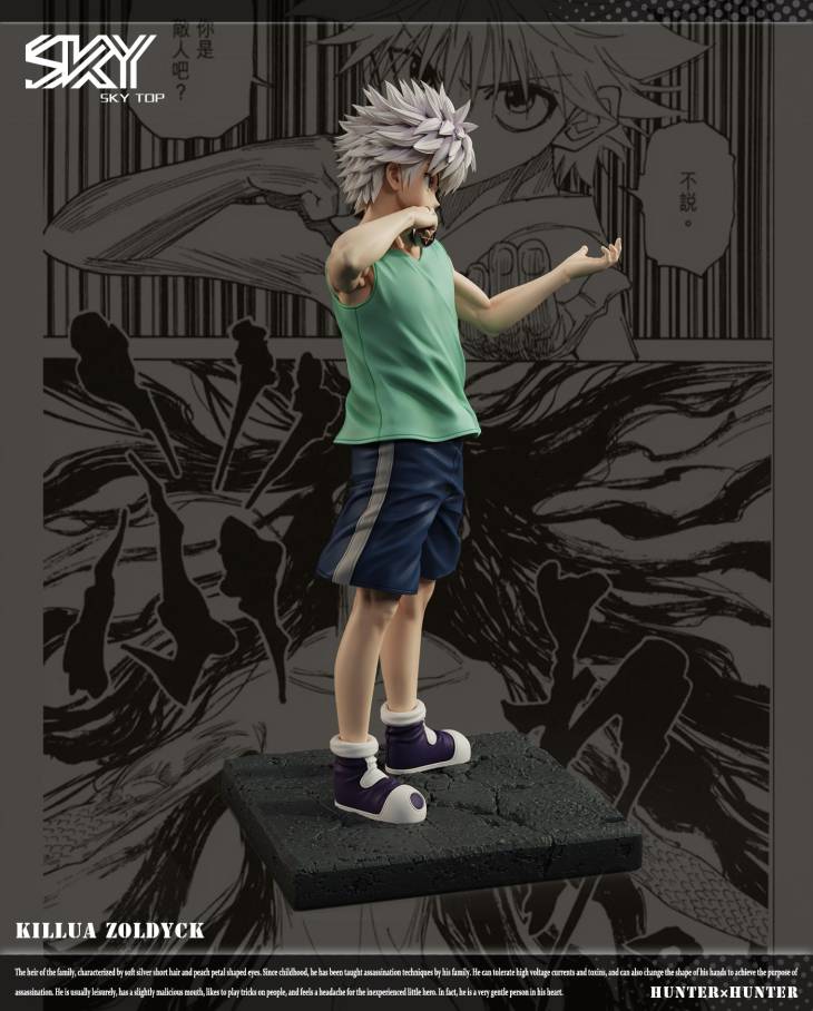 Sky Top - Killua - Image 3