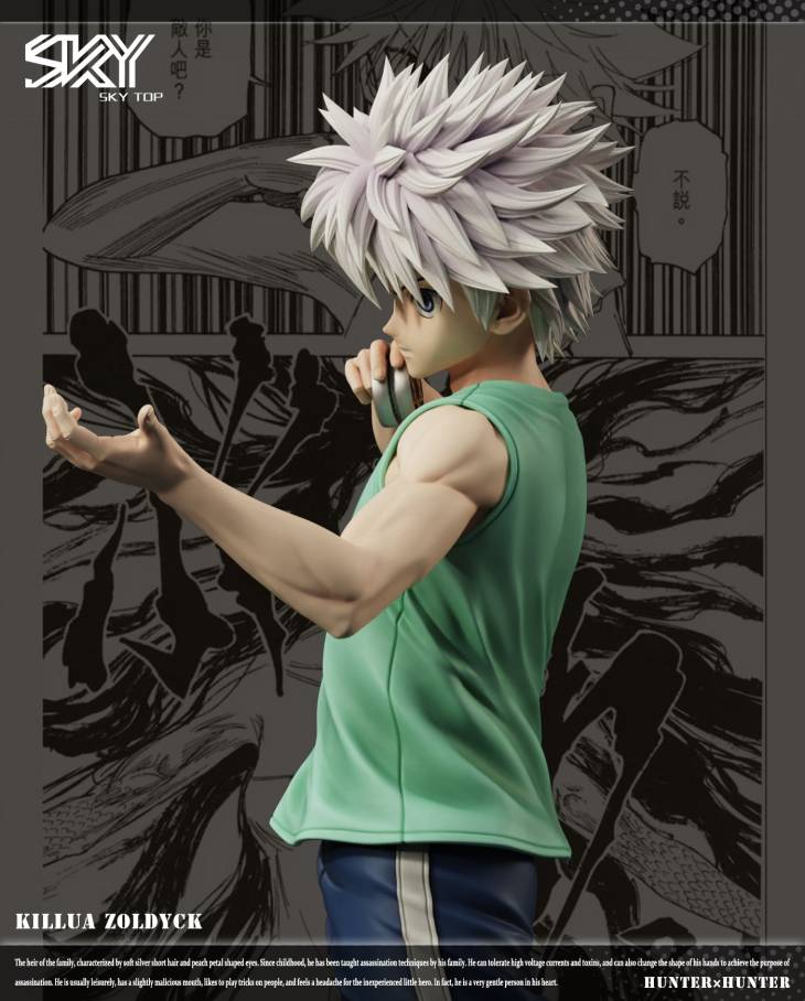 Sky Top - Killua - Image 4
