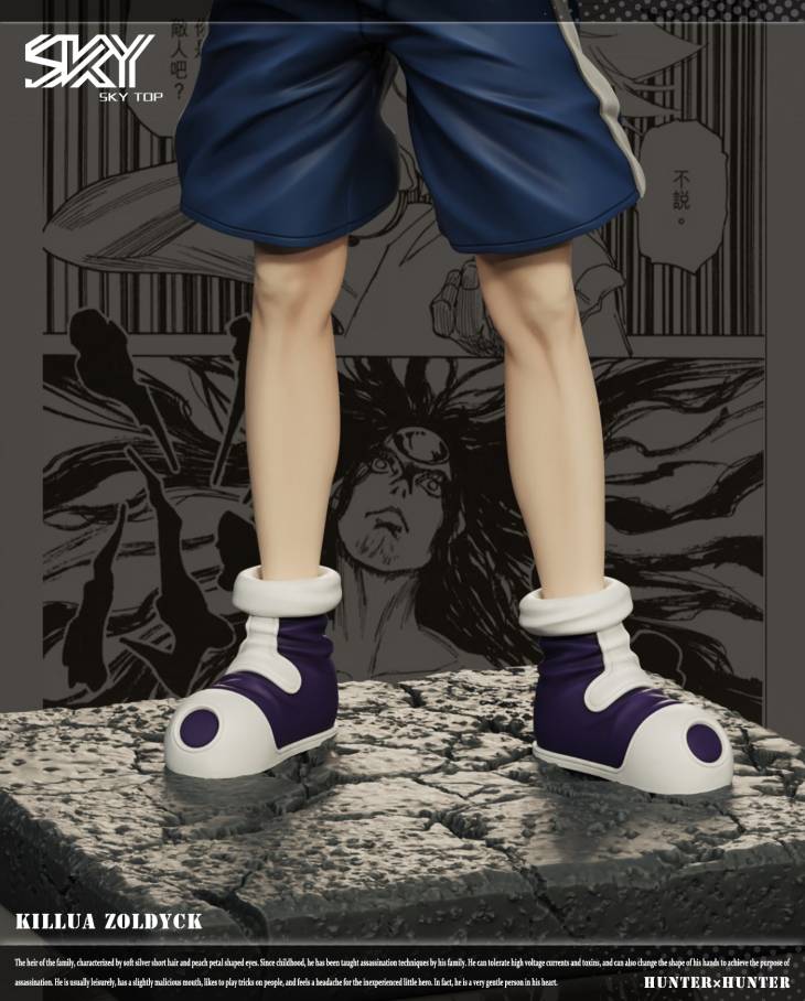 Sky Top - Killua - Image 6