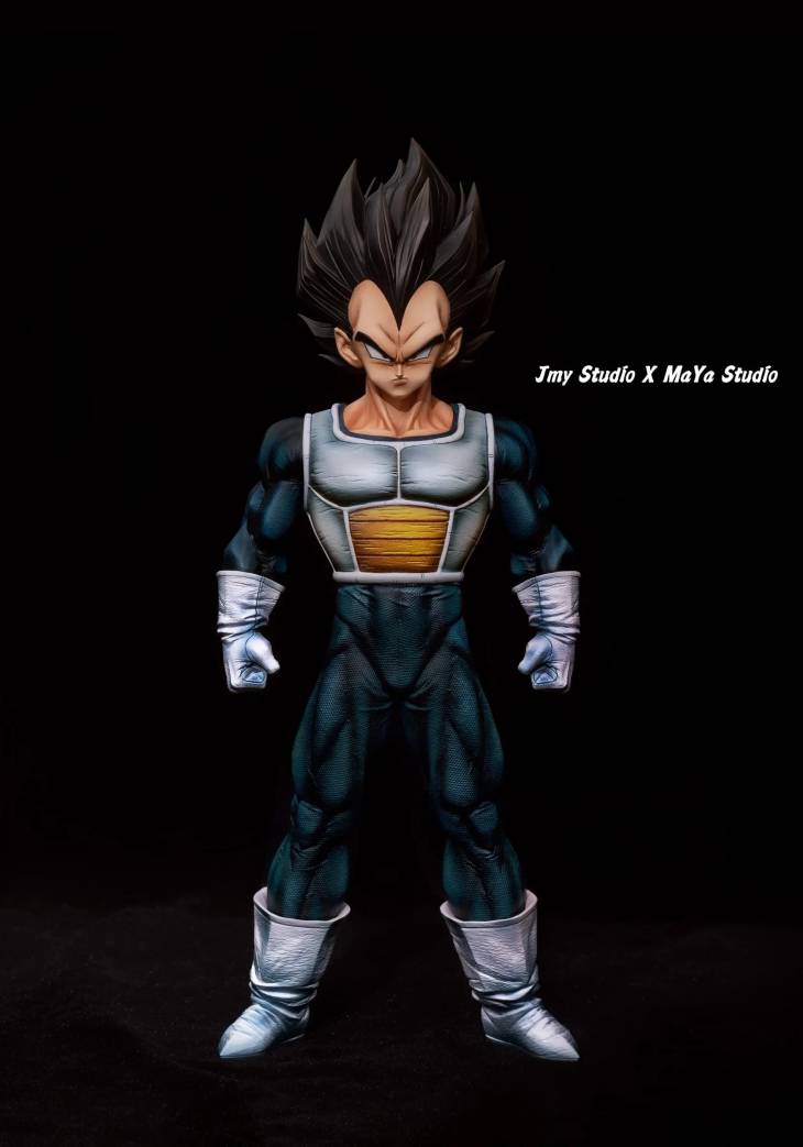 JMY x Maya - Vegeta - Image 2