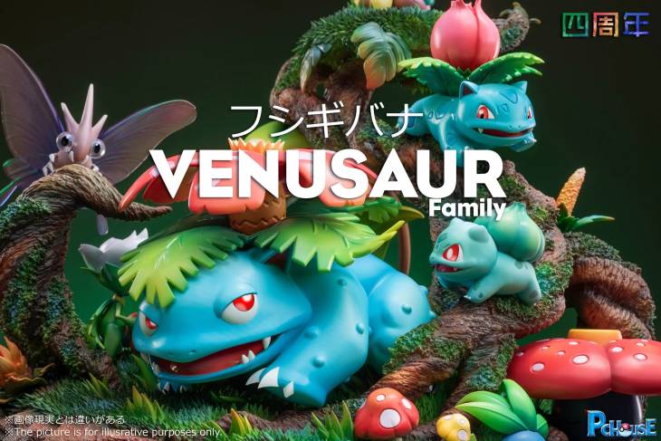Pc House  - Venusaur - Image 2