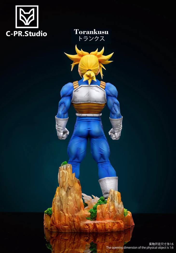 CPR - Trunks - Image 6