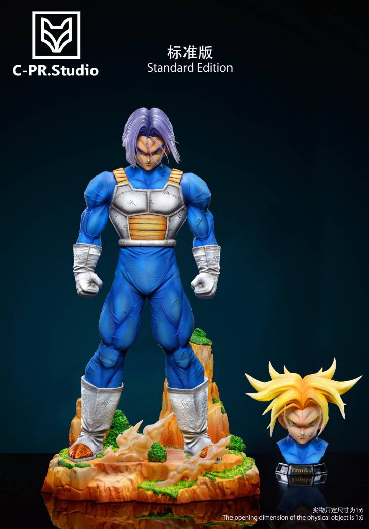 CPR - Trunks - Image 3