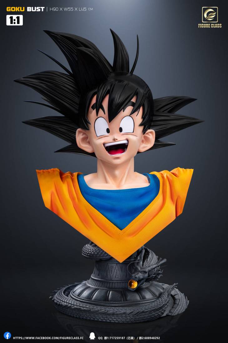 Figure Class - Goku - Image 6
