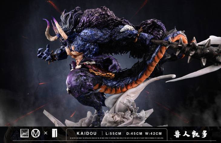 TM - Kaido - Image 6