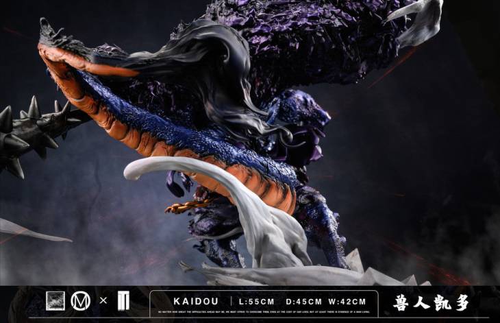 TM - Kaido - Image 7