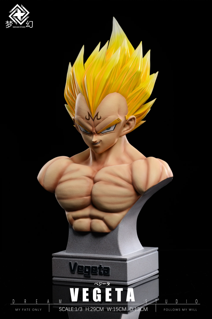 Dream - Vegeta - Image 5