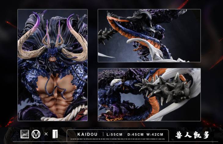 TM - Kaido - Image 9