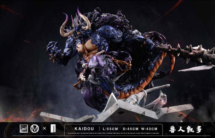 TM - Kaido - Image 8