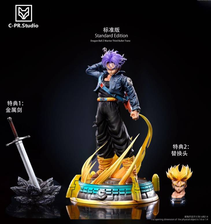 CPR - Trunks - Image 5