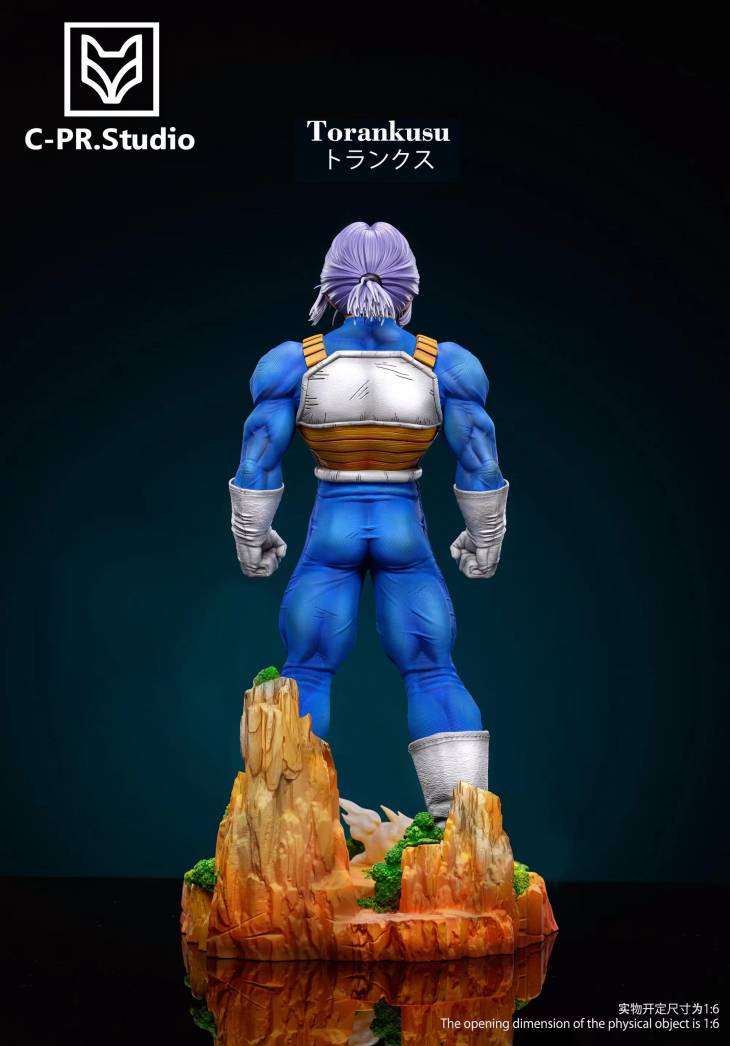 CPR - Trunks - Image 7