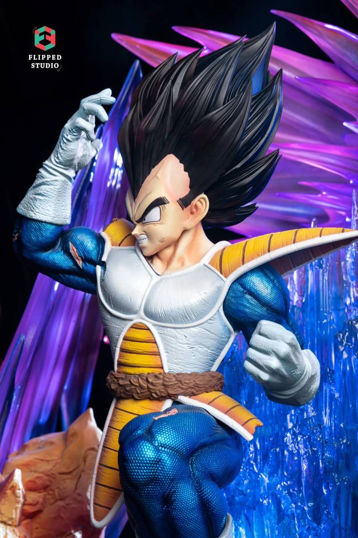 Flipped - Vegeta - Image 6