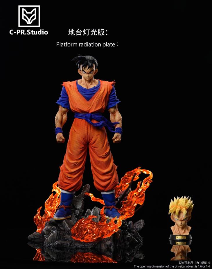 CPR - Future Gohan - Image 11