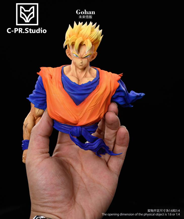 CPR - Future Gohan - Image 17