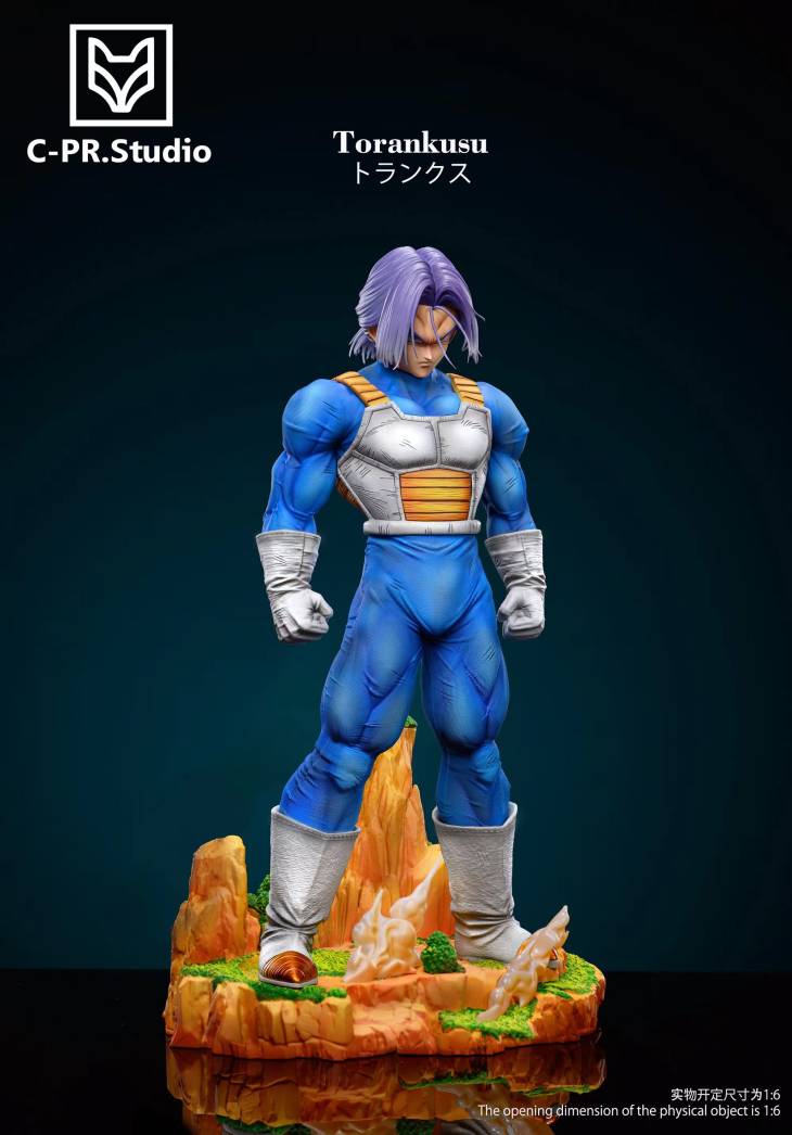 CPR - Trunks - Image 5
