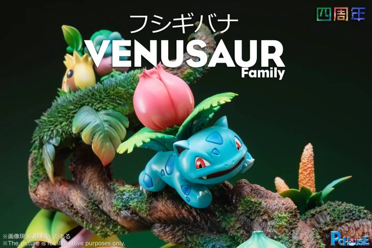Pc House  - Venusaur - Image 3